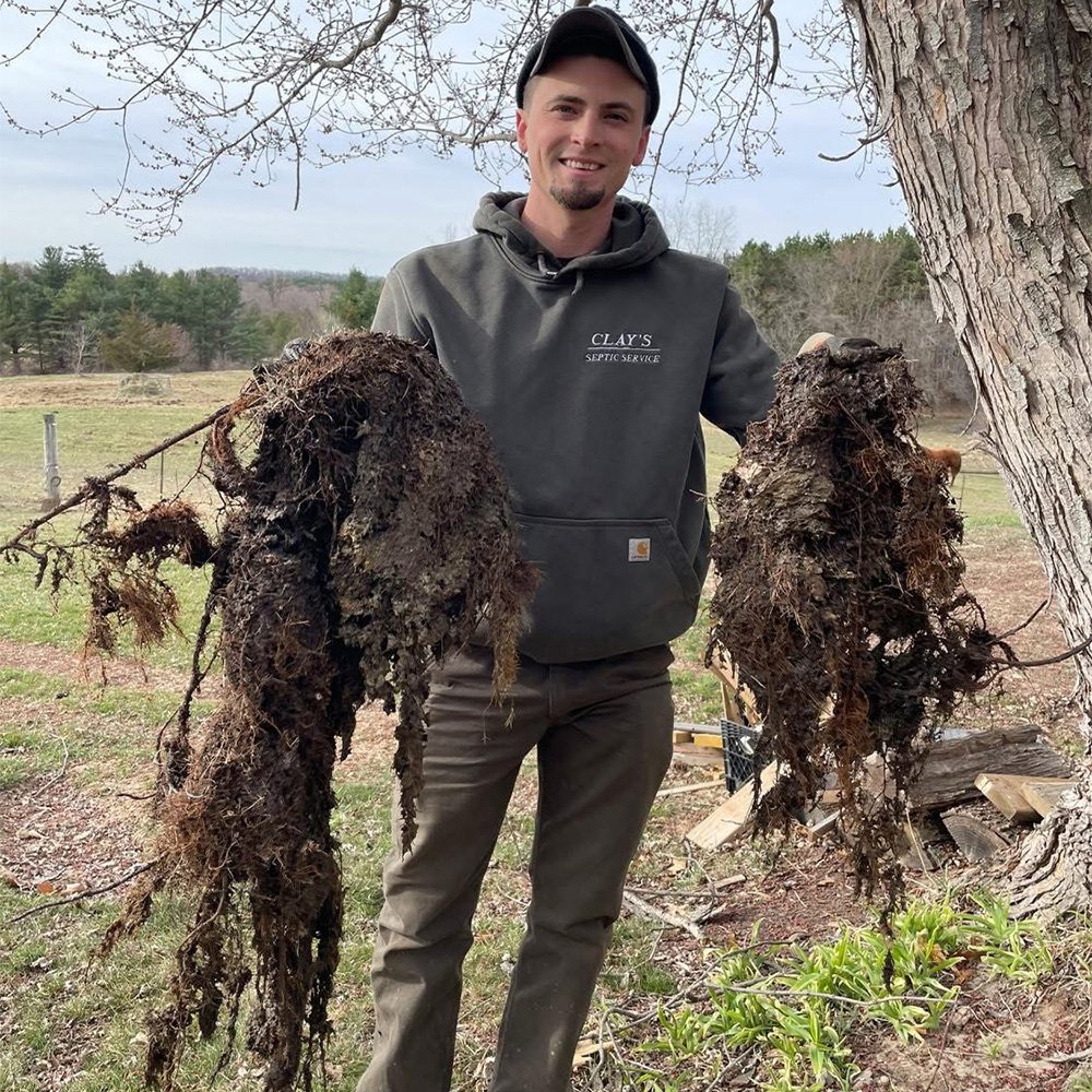 Roots pulled from septic tank
