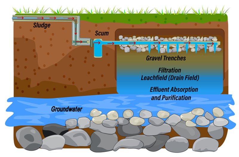 Protect your Drainfield